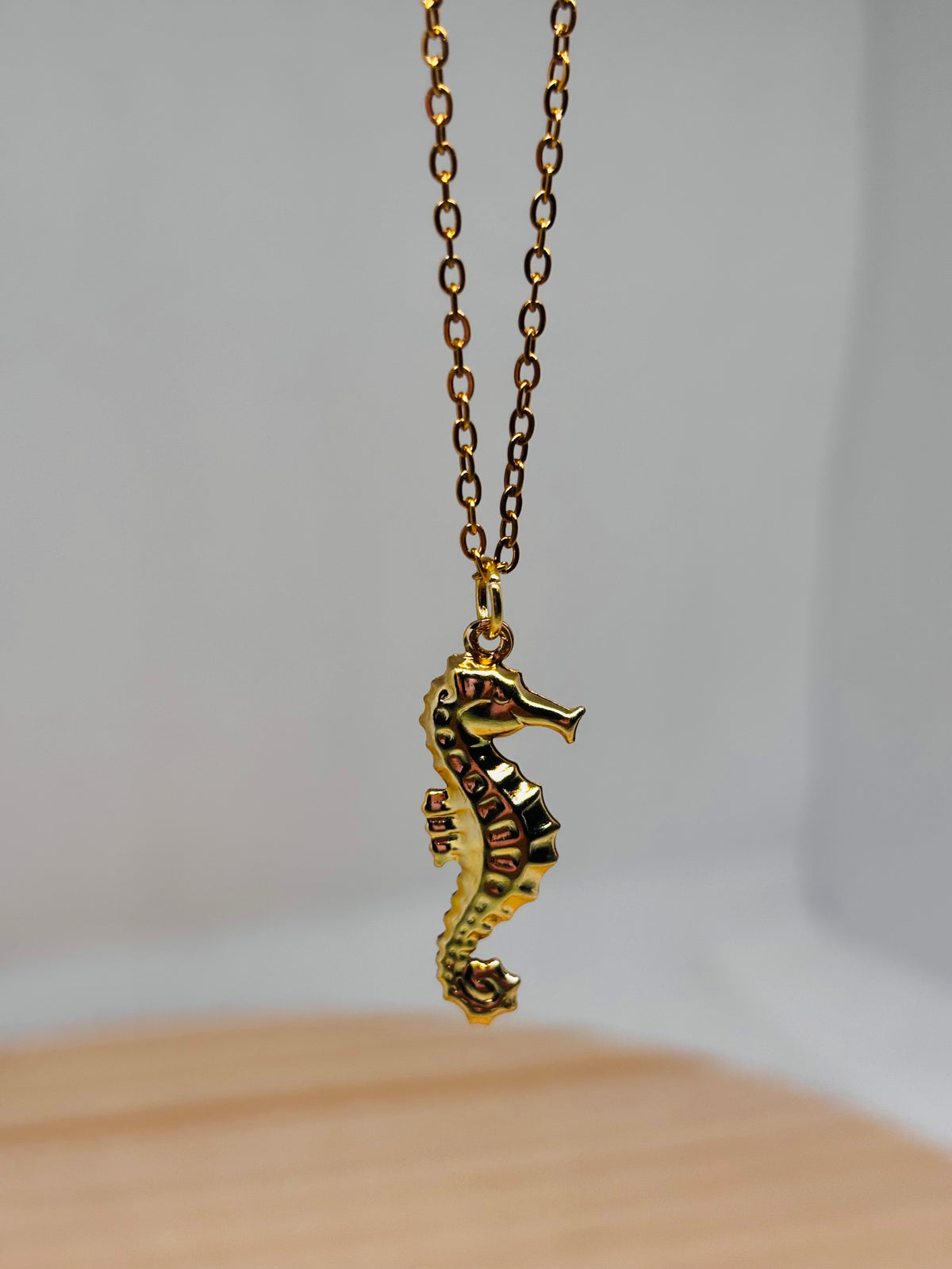 Caballito Oro| Necklace 🌊