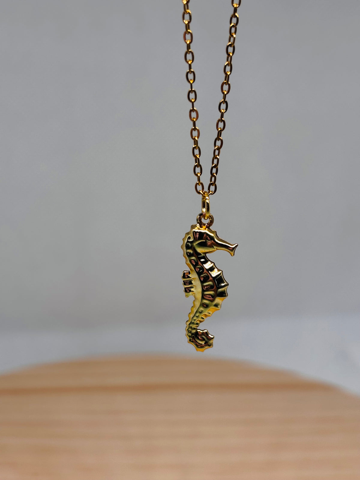 Caballito Oro| Necklace 🌊