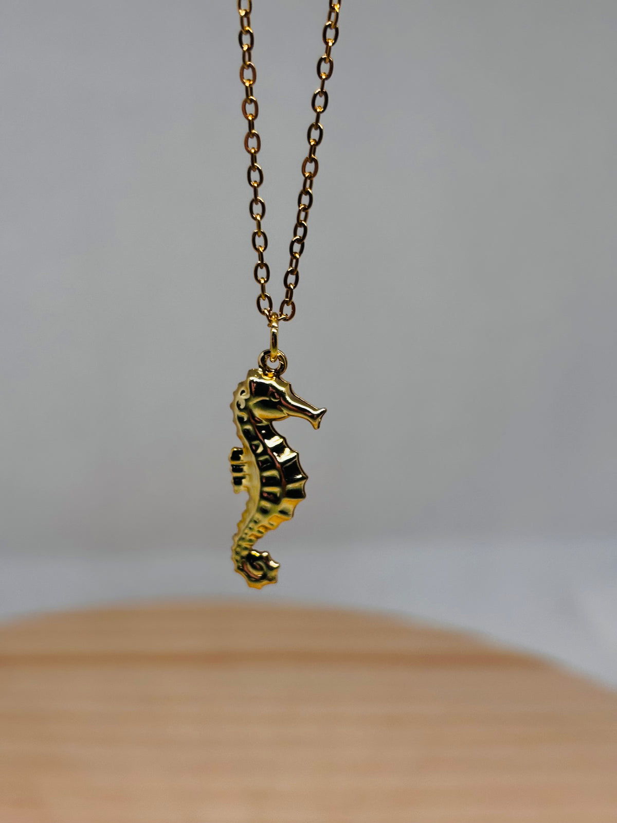 Caballito Oro| Necklace 🌊